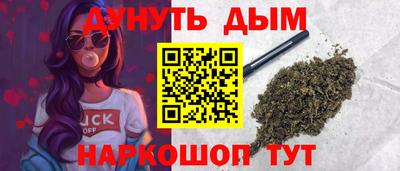 сатива Кингисепп