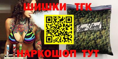 сатива Кингисепп