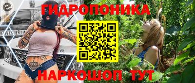 сатива Кингисепп
