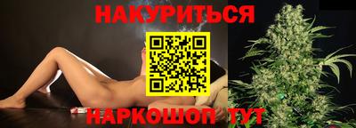 сатива Кингисепп