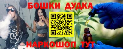 сатива Кингисепп