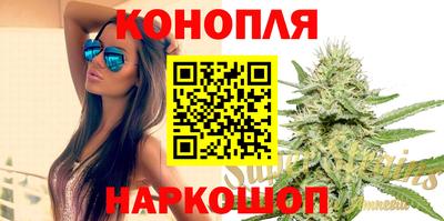 сатива Кингисепп