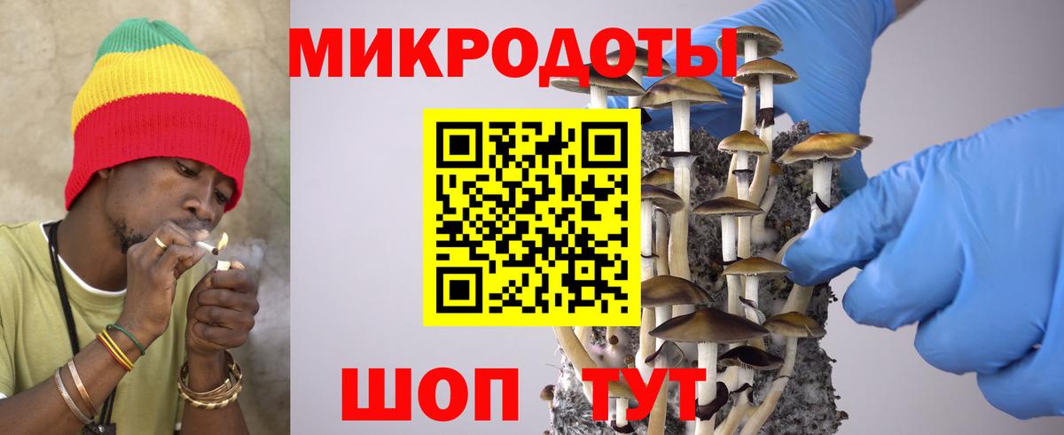 Крымск  Псилоцибиновые грибы мухоморы  купить наркоту  Вход с VPN 