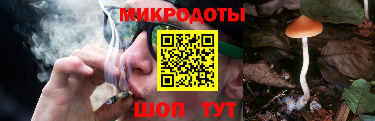 Галлюциногенные грибы Cubensis Крымск
